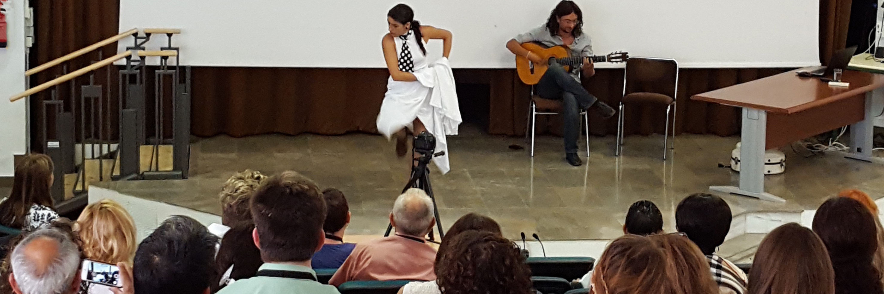 Sixteenth International Conference on Diversity in Organizations, Communities & Nations, The University of Granada, Granada, Spain (2016)